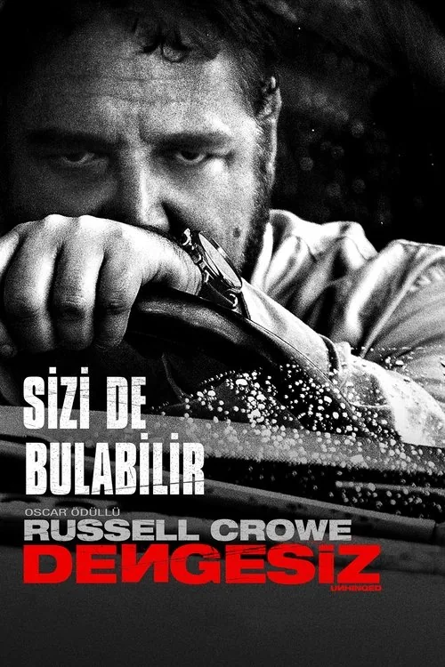 Dengesiz film afişi